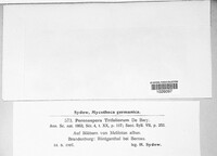 Image Associated With the Occurence